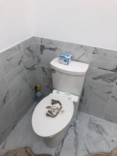 front view of the toilet after renovation